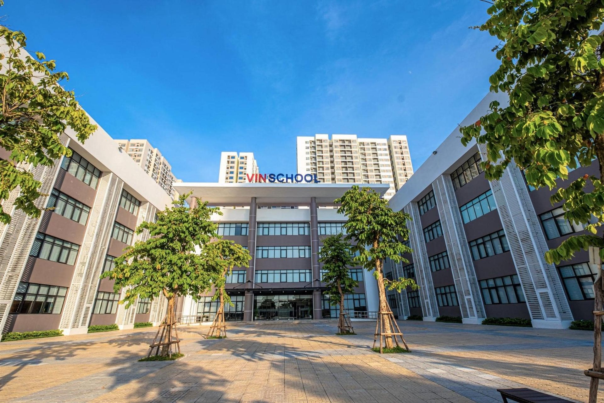 Hệ thống trường liên cấp